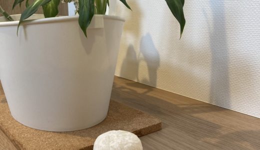 2025年もお世話になりました・サークルおさらい会ライブのお知らせ